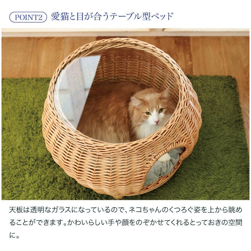 最安値挑戦 Oft Yanagi キャッツボンヌ 猫ちぐら ねこ ハウス おうち 2段 多頭飼い ベッド 柳 天然素材 ガラス 手作り ドーム おしゃれ 人気 7156 Oft Store Yahoo 店 通販 Yahoo ショッピング 全商品オープニング価格特別価格 Azerbaijanfoundation Az