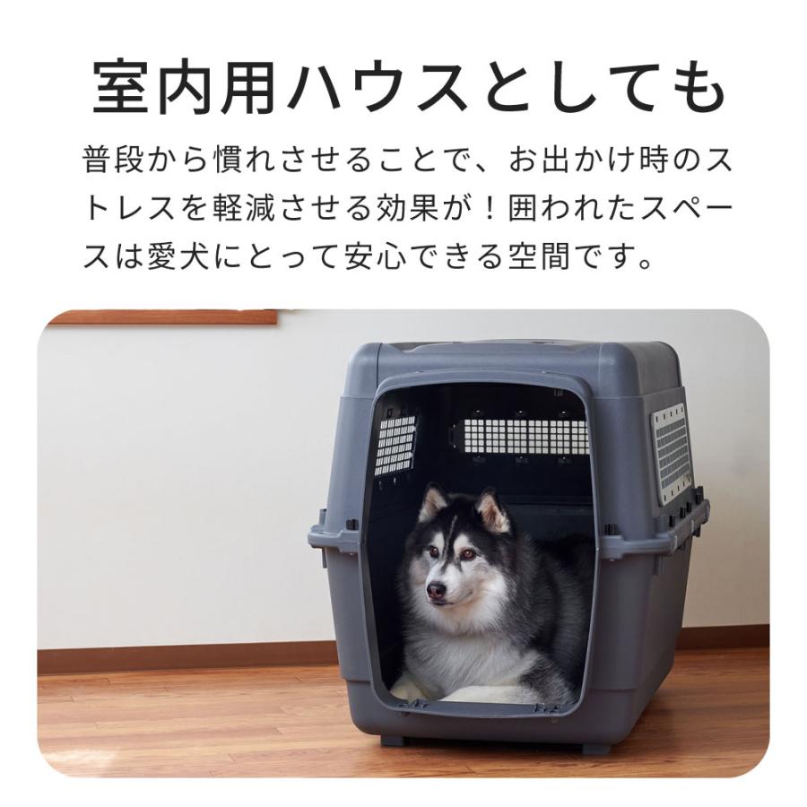 OFT (特別セール中) [ペットケンネル ファーストクラス ブラック