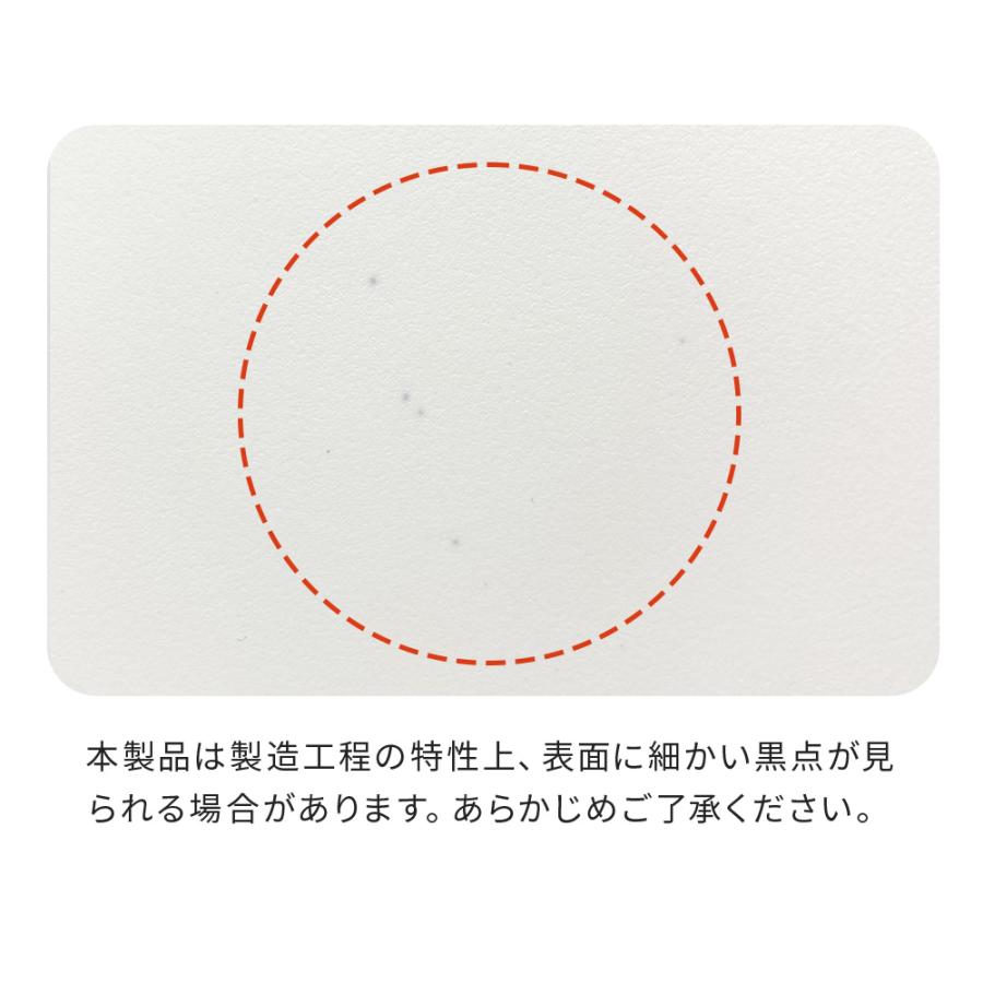 (お年玉5%OFFクーポン配布中) [大型 抗菌 猫トイレ TALL WALL BOX - XL(本体)] 猫 ねこ ネコ ネコトイレ ねこトイレ 大きめ 深い 高い | OFT | 19