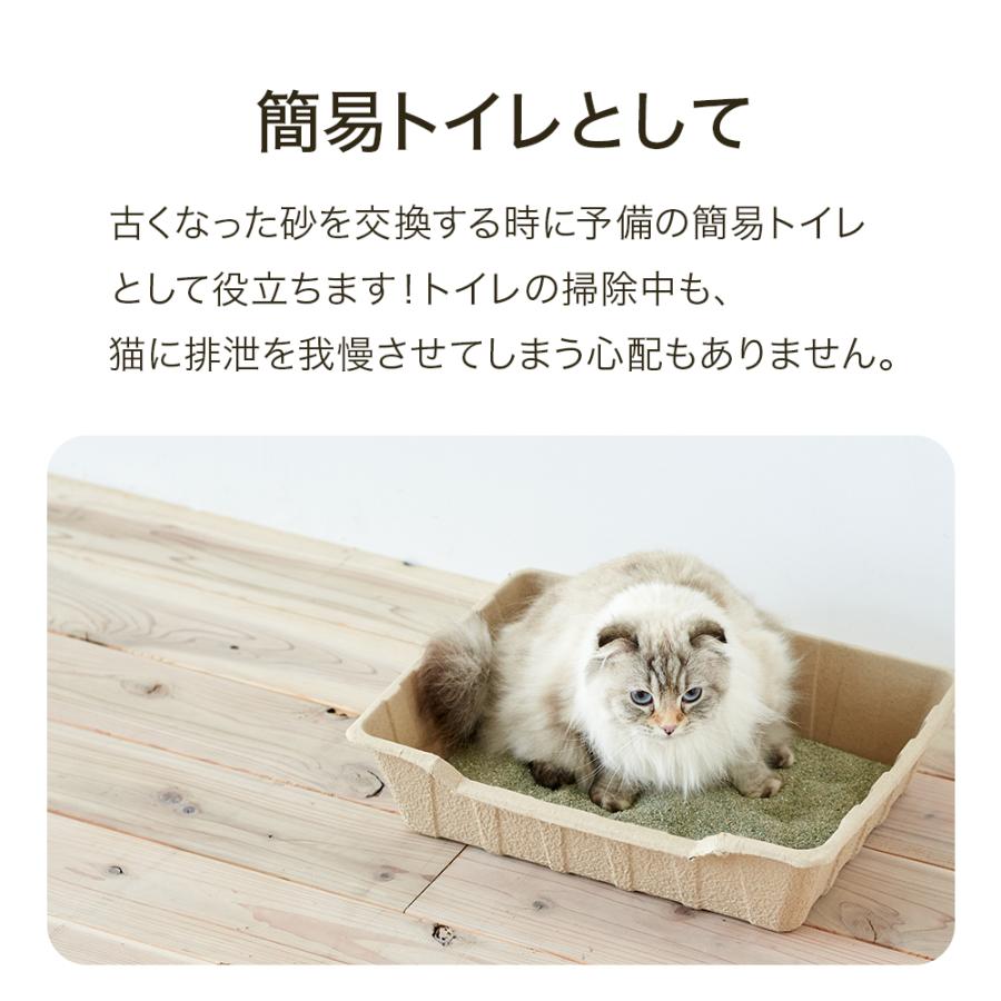 (お年玉5%OFFクーポン配布中) [紙の猫トイレ ECO CAT TRAY(エコキャットトレー) 3枚組×6セット] 獣医師推奨 動物病院 猫 ねこ ネコ トイレ シンプル | OFT | 08