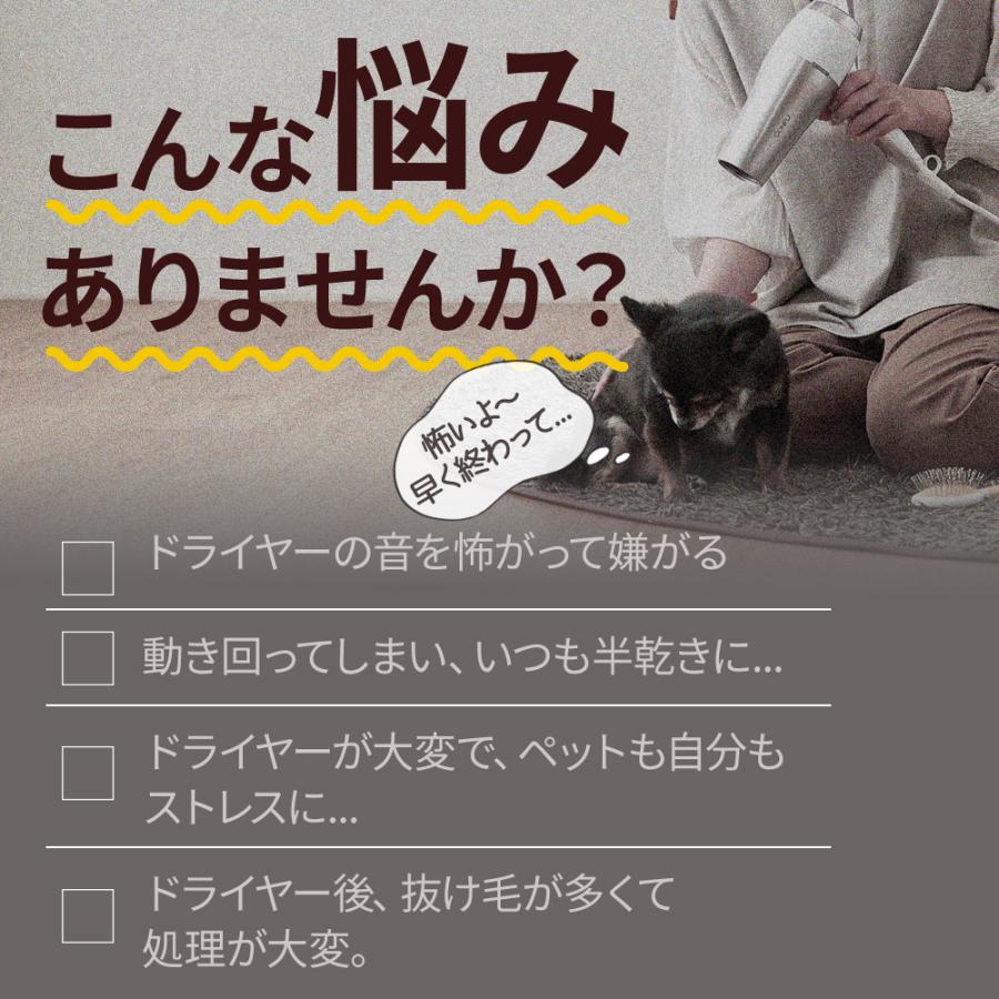 (OFT) CATLINK SMART PET DRYER BOX [スマホ スマートフォン ペット ドライヤー ボックス ドライルーム 犬 猫 オゾン消臭] | OFT | 02