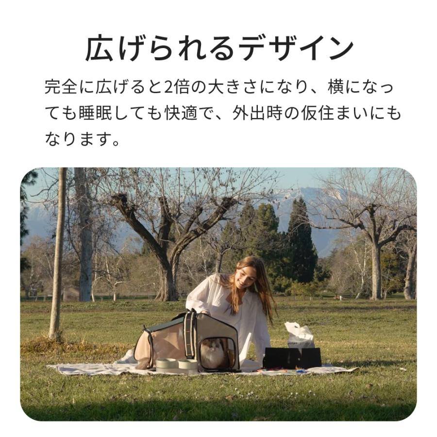 (OFT) [PIDAN ペット用折り畳み式ハウス型トラベルリュック] 猫 ねこ ネコ 車 キャリー ハードキャリー ケース リュック キャスター | OFT | 01