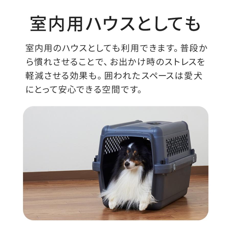 (特別セール中) [ペットケンネル ファーストクラス ブラックエディション L60] 犬 イヌ いぬ ペットクレート キャリー 飛行機 IATA | OFT | 03