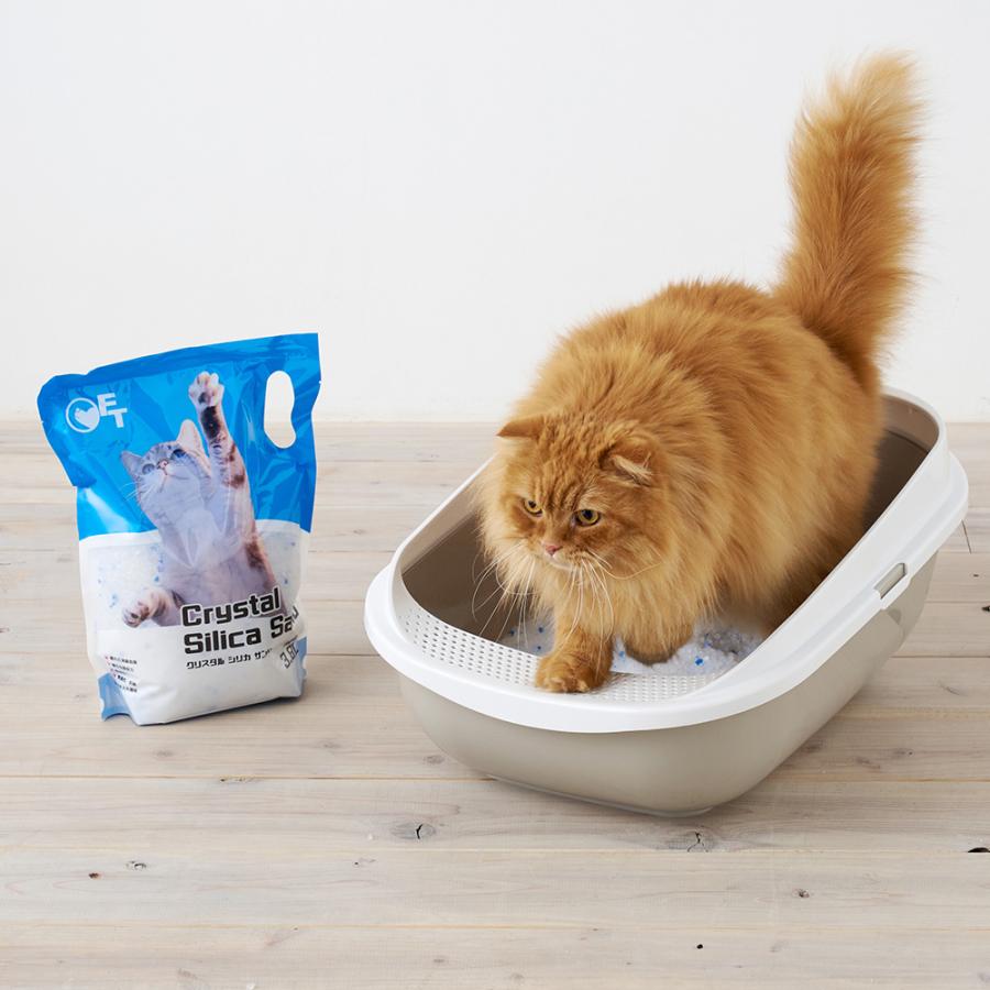 (OFT) クリスタルシリカサンド 3.8L(1.5kg) 8袋セット 猫砂 猫 ネコ ねこ 消臭 鉱物   砂ぼこり OFT トイレ レスナ Resna | OFT | 13