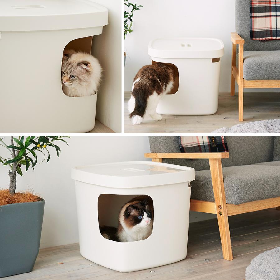 (OFT) [大型 猫トイレ Cubana クバーナ] 猫 猫用 ネコ ねこ用 トイレ 大きい 大きめ スプレー 深い | OFT | 15