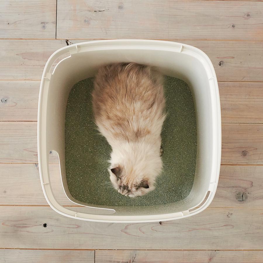 (OFT) [大型 猫トイレ Cubana クバーナ] 猫 猫用 ネコ ねこ用 トイレ 大きい 大きめ スプレー 深い | OFT | 06