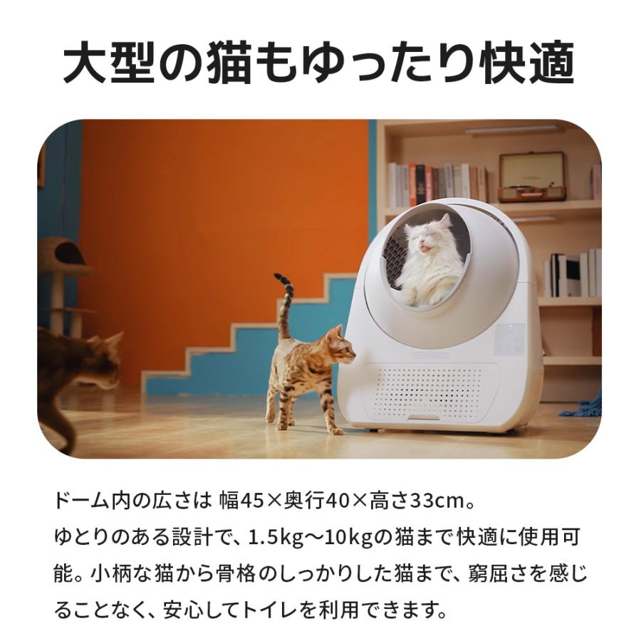 OFT (メーカー協賛セール) (2025年新発売) [カメラ付き自動ネコ OFT (メーカー協賛セール) (2025年新発売) [カメラ付き自動ネコ