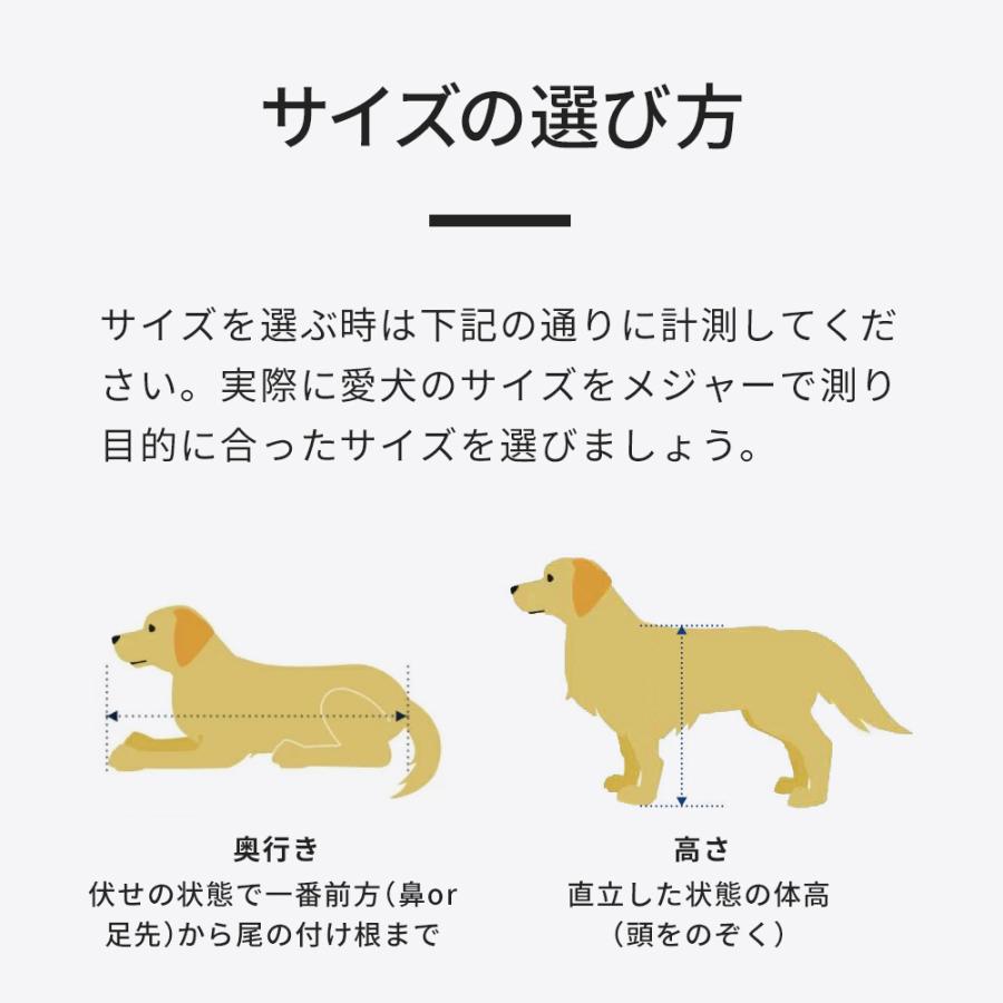 (特別セール中) [ペットケンネル ファーストクラス ワイド L60] 犬 イヌ いぬ ペットクレート キャリー ハードキャリー ハウス 飛行機 IATA | OFT | 10