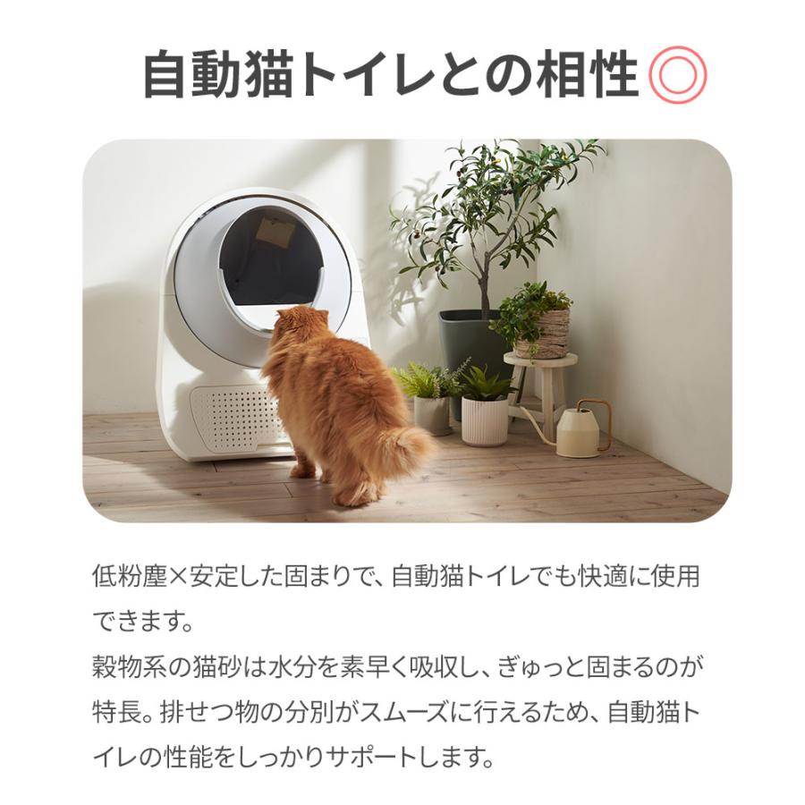 (2026年春新発売)  キャッサバブレンドサンド 4kg×8袋 猫砂 猫 ネコ ねこ 消臭 穀物 天然 固まる 固い 砂ぼこり 自動トイレ 自動ネコ キャッサバ | OFT | 10