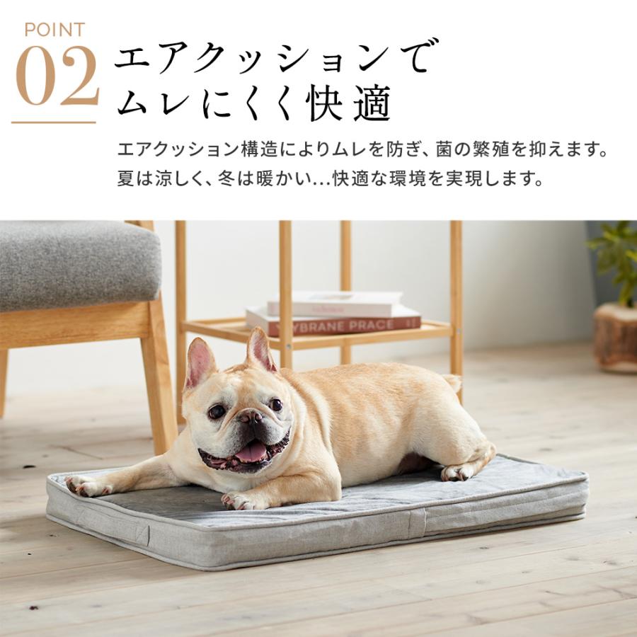 OFT 洗えるペットマット クッションエアー L (犬ベッド ペット 健康