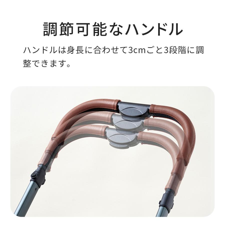OFT (~8/19 夏祭りフェア) [ペットカート ファーストクラス] 犬