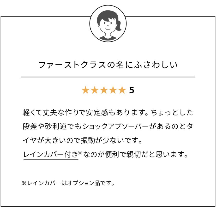 OFT (OFT) [ペットカート ファーストクラス] 犬 イヌ いぬ