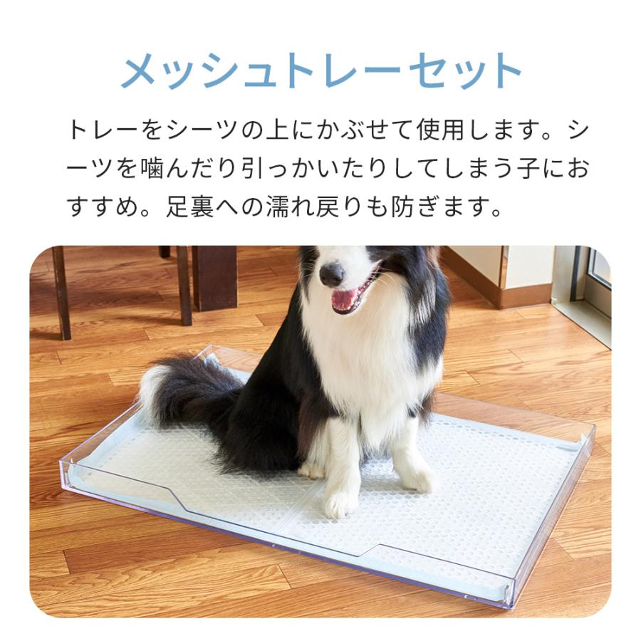 OFT 【限定クーポン配布中〜10/13】 [犬用トイレ (飛散ガード