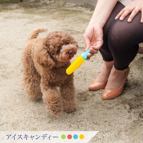 犬用toy アイスキャンディー メロン スイカ ソーダ パイン ペット おもちゃ クール 暑さ対策 熱中症 Ip Icecandy Oft Store Yahoo 店 通販 Yahoo ショッピング