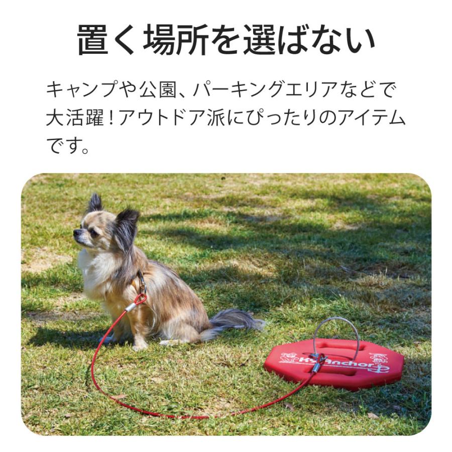 (お年玉5%OFFクーポン配布中) [犬用係留器具 K9アンカー] 犬 イヌ いぬ ペット 人気 おすすめ おしゃれ キャンプ レジャー 旅行 リード 係留 固定 | OFT | 02