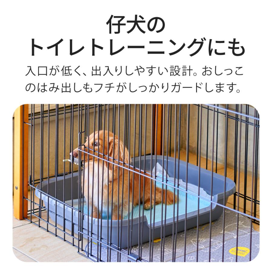 (お年玉5%OFFクーポン配布中) [Kitty and Puppy Pan L] 犬 イヌ ドッグ トイレ 仔犬 老犬 低め スターター 足腰 おすすめ | OFT | 03
