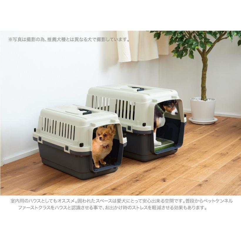 Oft ペットケンネル 激安卸販売新品 ファーストクラス L100 送料無料 北海道 沖縄 離島等除く クレート 大型犬 飛行機 おすすめ 大きめ 多頭用 ランキング