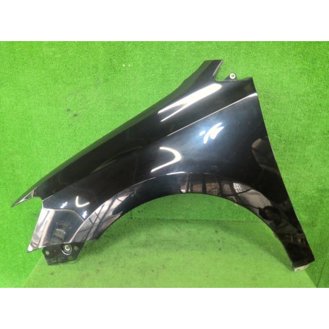VW ポロ DBA-6RCBZ 左Fフェンダー TSIコンフォートライン CBZ 7FT LC9X    6R0821105J | 