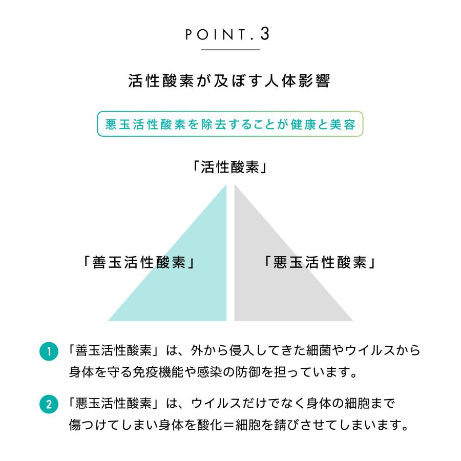 水素酸素吸入器 |  | 08