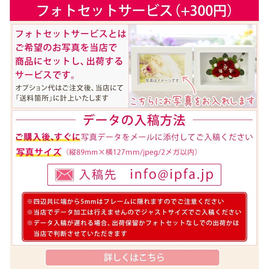 プリザーブドフラワー プリザーブド 退職祝い 結婚祝い ギフト 写真立て 上司 恩師 還暦祝い 還暦 結婚式 両親 プレゼント 電報 フォトフレーム 横 Ipfa003 プリザーブドフラワー Ipfa 通販 Yahoo ショッピング
