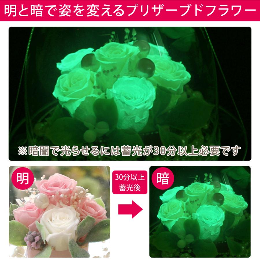 プリザーブドフラワー 誕生日 プレゼント 花 ギフト プロポーズ サプライズ フラワー ブリザードフラワー ガラスドーム 送料無料 クリスマス | プリザーブドフラワーIPFA | 17