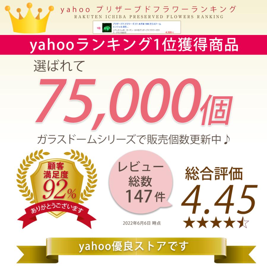 プリザーブドフラワー 誕生日 プレゼント 花 ギフト プロポーズ サプライズ フラワー ブリザードフラワー ガラスドーム 送料無料 クリスマス | プリザーブドフラワーIPFA | 07