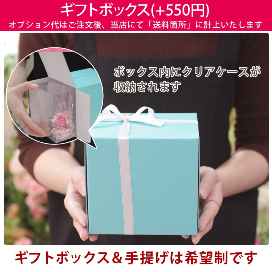 プリザーブドフラワー シンデレラ ハイヒール 誕生日 ガラスの靴 退職祝い プレゼント 結婚祝い 結婚記念日 ギフト 花 女性 お祝い プロポーズ バレンタイン | プリザーブドフラワーIPFA | 33