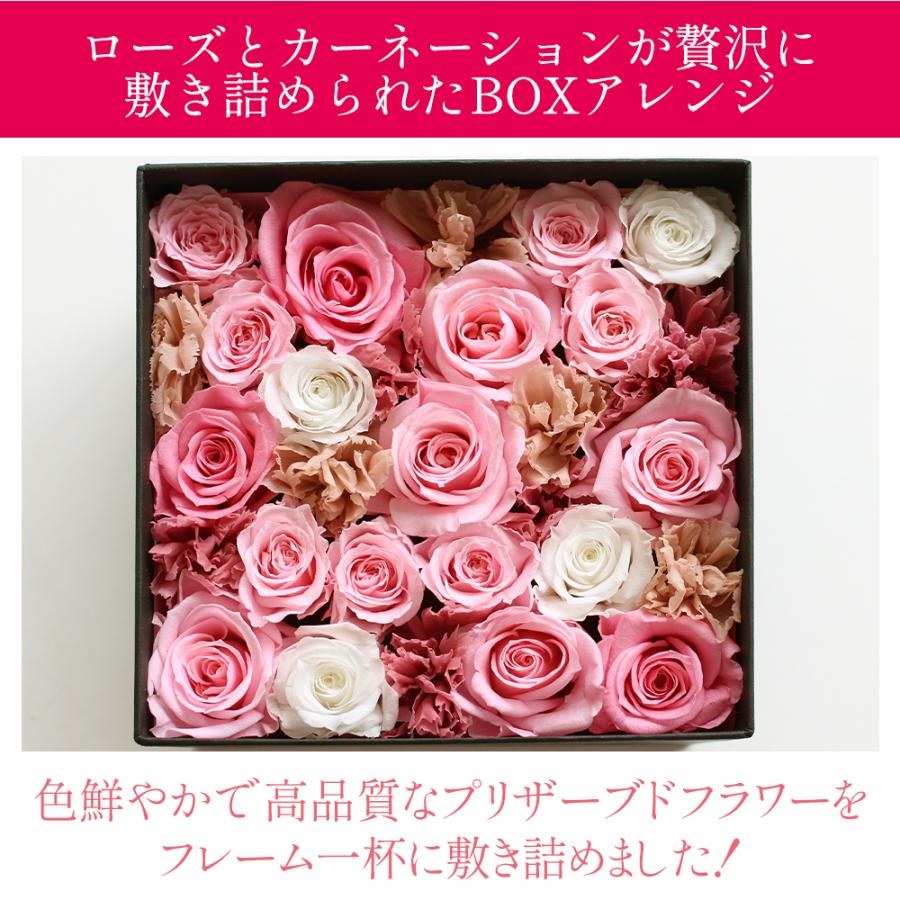 プリザーブドフラワーIPFA プリザーブドフラワー カーネーション