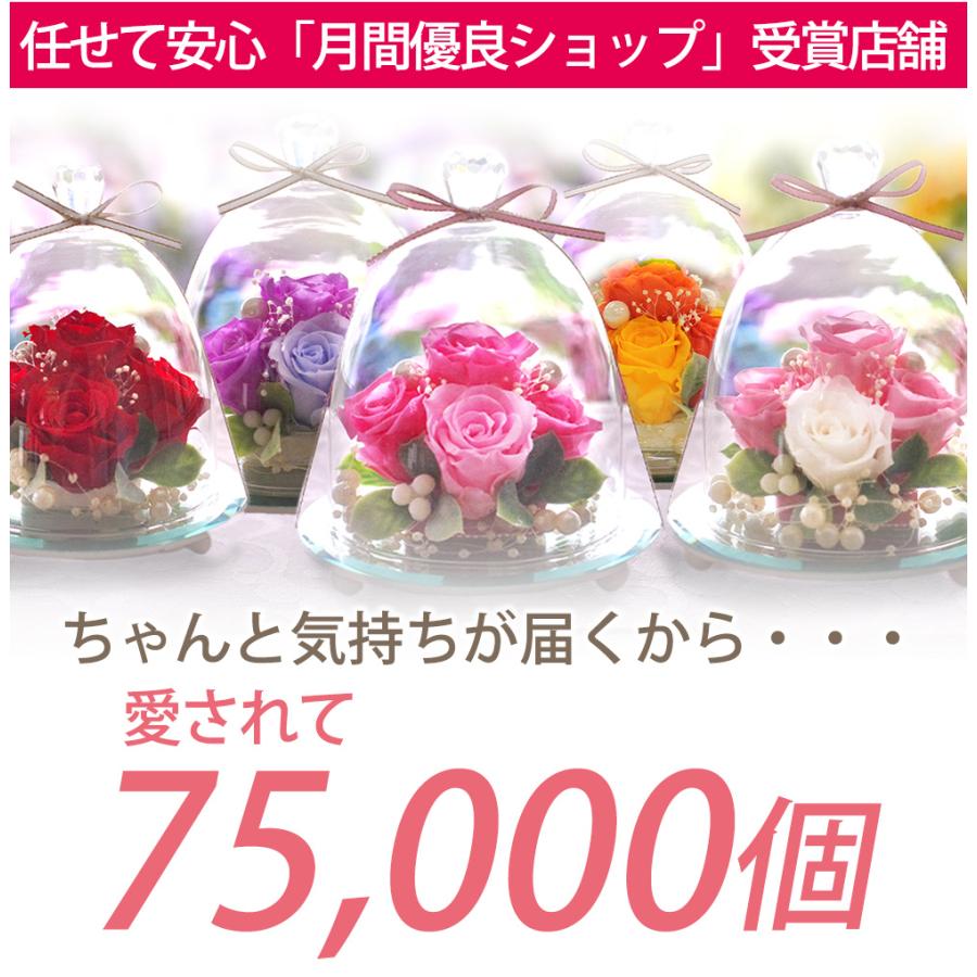 プリザーブドフラワー ガラスドーム エレガンス 誕生日 プレゼント 退職祝い 結婚祝い ギフト 還暦祝い 女性 お祝い フラワー 花 ブリザード クリスマス | プリザーブドフラワーIPFA | 25