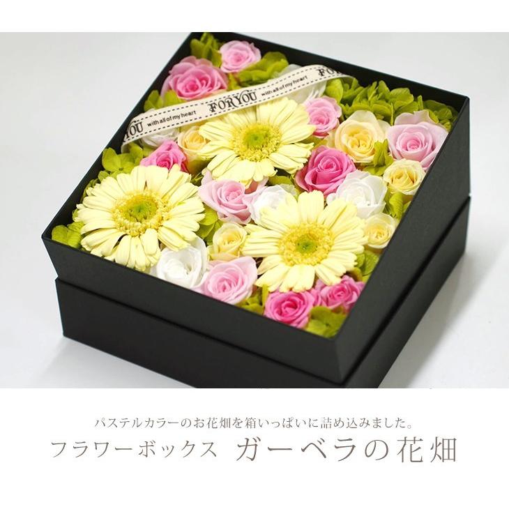 プリザーブドフラワー Box ボックス ギフト フラワーボックス 両親 電報 プレゼント 誕生日 お祝い お花 フラワー 結婚祝い ガーベラの花畑 Ipfa121 プリザーブドフラワー Ipfa 通販 Yahoo ショッピング