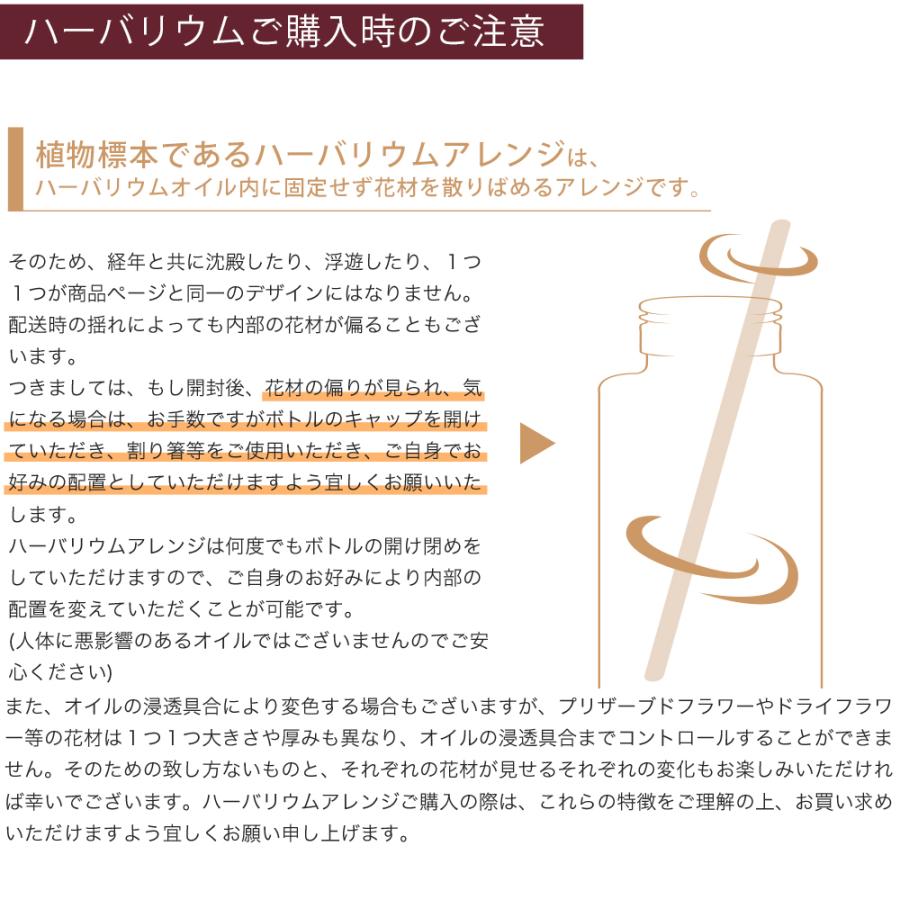 ハーバリウム カーネーション プレゼント ギフト プリザーブド フラワー 誕生日 退職祝い 卒業祝い 結婚祝い 贈り物 お祝い ハーバリューム 送料無料 | プリザーブドフラワーIPFA | 19