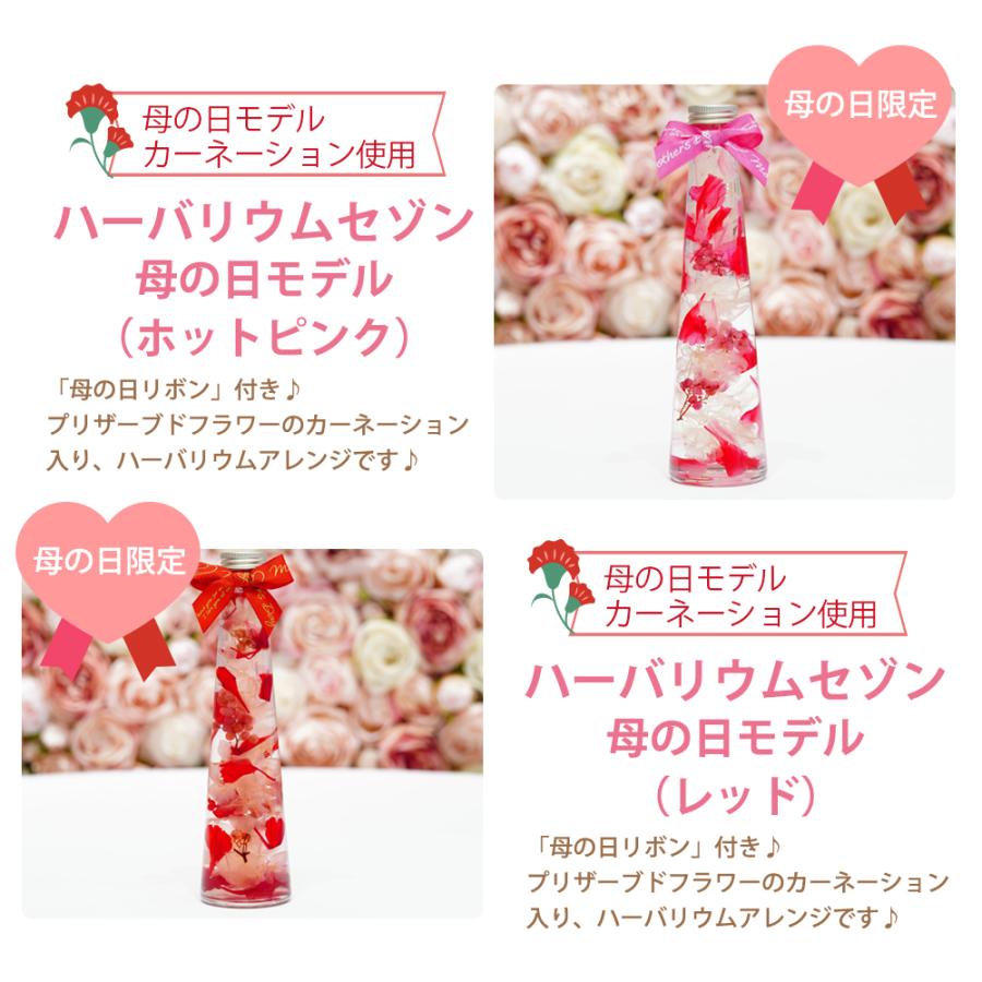 ハーバリウム カーネーション プレゼント ギフト プリザーブド フラワー 誕生日 退職祝い 卒業祝い 結婚祝い 贈り物 お祝い ハーバリューム 送料無料 | プリザーブドフラワーIPFA | 10