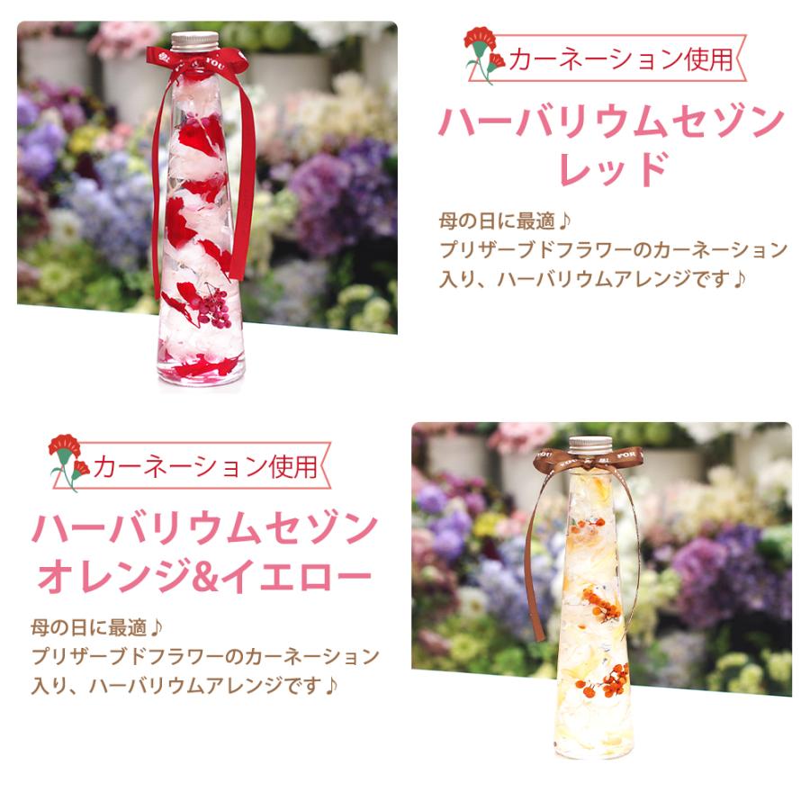ハーバリウム カーネーション プレゼント ギフト プリザーブド フラワー 誕生日 退職祝い 卒業祝い 結婚祝い 贈り物 お祝い ハーバリューム 送料無料 | プリザーブドフラワーIPFA | 12