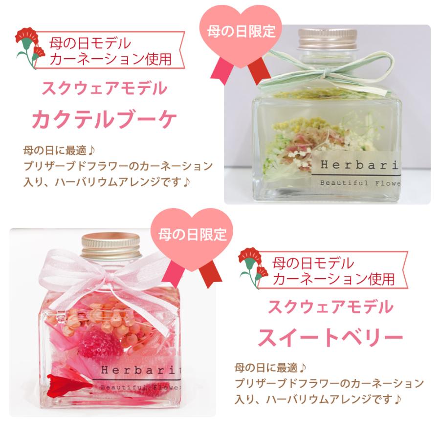 ハーバリウム カーネーション プレゼント ギフト プリザーブド フラワー 誕生日 退職祝い 卒業祝い 結婚祝い 贈り物 お祝い ハーバリューム 送料無料 | プリザーブドフラワーIPFA | 16