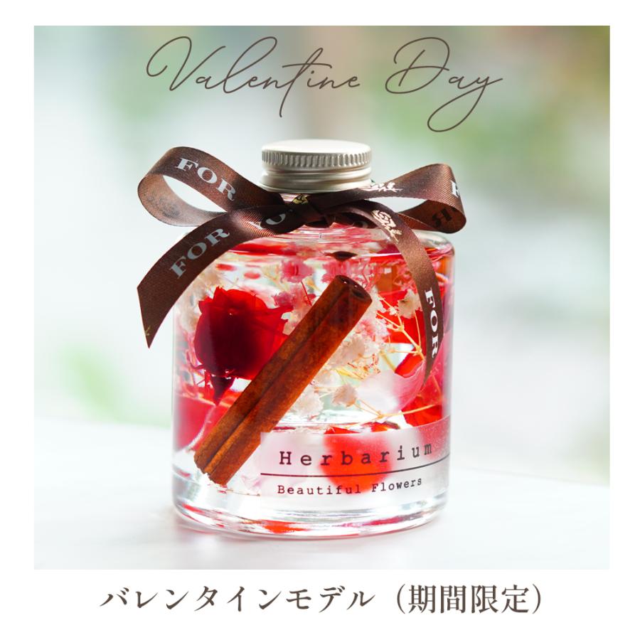 ハーバリウム 誕生日 バースデー プレゼント ギフト 退職祝い 結婚祝い 卒業祝い プリザーブド 贈り物 花 カーネーション ハーバリューム 送料無料 バレンタイン | プリザーブドフラワーIPFA | 14
