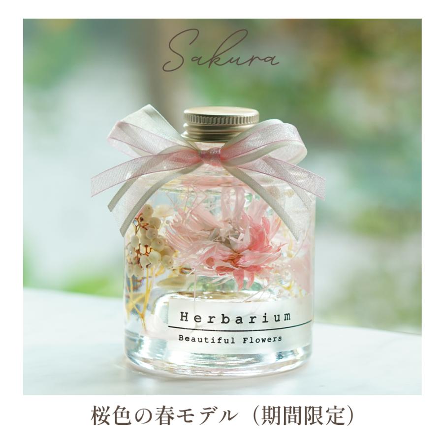 ハーバリウム 誕生日 バースデー プレゼント ギフト 退職祝い 結婚祝い 卒業祝い プリザーブド 贈り物 花 カーネーション ハーバリューム 送料無料 バレンタイン | プリザーブドフラワーIPFA | 13