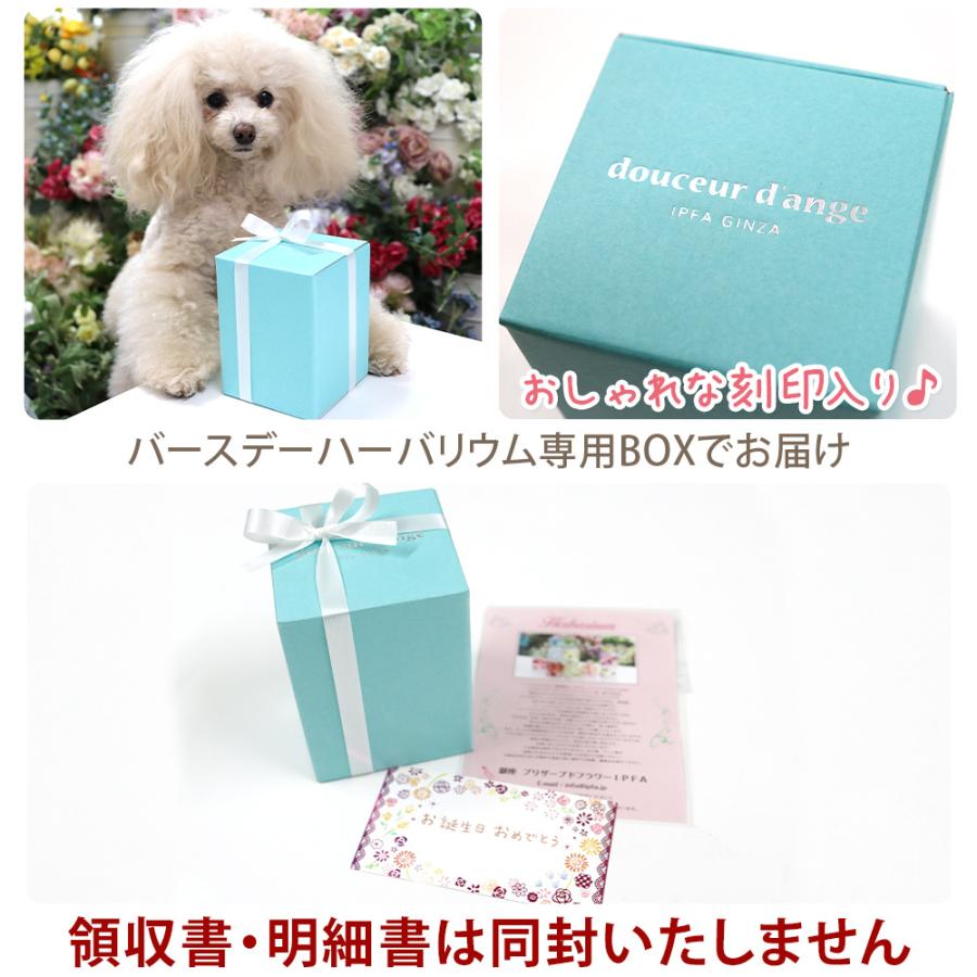 ハーバリウム 誕生日 クリスマス プレゼント ギフト 結婚祝い ハーバリューム 誕生日プレゼント 贈り物 女性 友人 花 人気 ハーバリウム バースデー Ipfa152 プリザーブドフラワー Ipfa 通販 Yahoo ショッピング