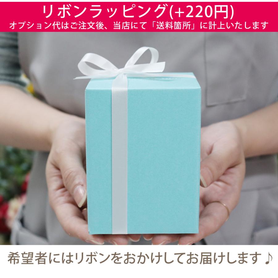 ハーバリウム 誕生日 バースデー プレゼント ギフト 退職祝い 結婚祝い 卒業祝い プリザーブド 贈り物 花 カーネーション ハーバリューム 送料無料 バレンタイン | プリザーブドフラワーIPFA | 25