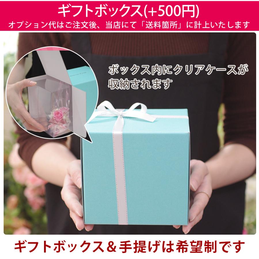 プリザーブドフラワー プリンセスヒール ガラスの靴 プレゼント 結婚祝い 結婚記念日 誕生日 退職祝い ギフト 花 シンデレラ プロポーズ クリスマス | プリザーブドフラワーIPFA | 21