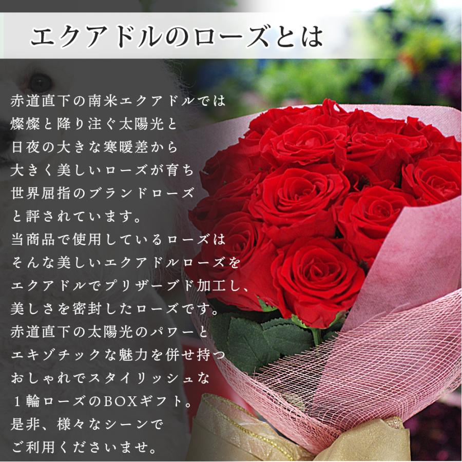 プリザーブドフラワー プレゼント 誕生日 退職祝い 結婚祝い 結婚記念日 ギフト 結婚式 贈り物 お祝い box 送料無料 クリスマス | プリザーブドフラワーIPFA | 14