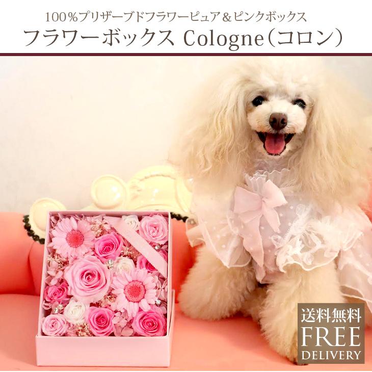 プリザーブドフラワー ギフト 結婚式 両親 電報 プレゼント ボックスアレンジ Boxアレンジ お花 フラワーボックス コロン Ipfa169 プリザーブドフラワー Ipfa 通販 Yahoo ショッピング