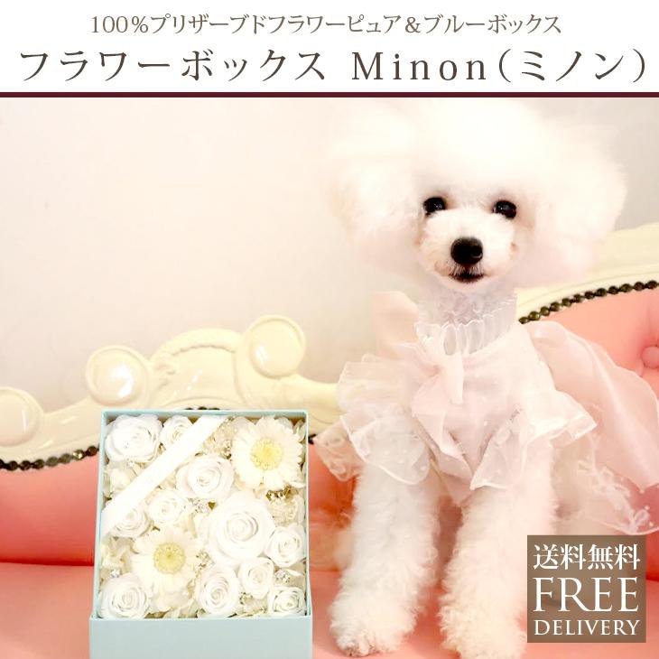 プリザーブドフラワー 退職祝い ギフト 結婚式 結婚祝い プレゼント BOXアレンジ お花 女性 フラワーボックス ミノン | プリザーブドフラワーIPFA