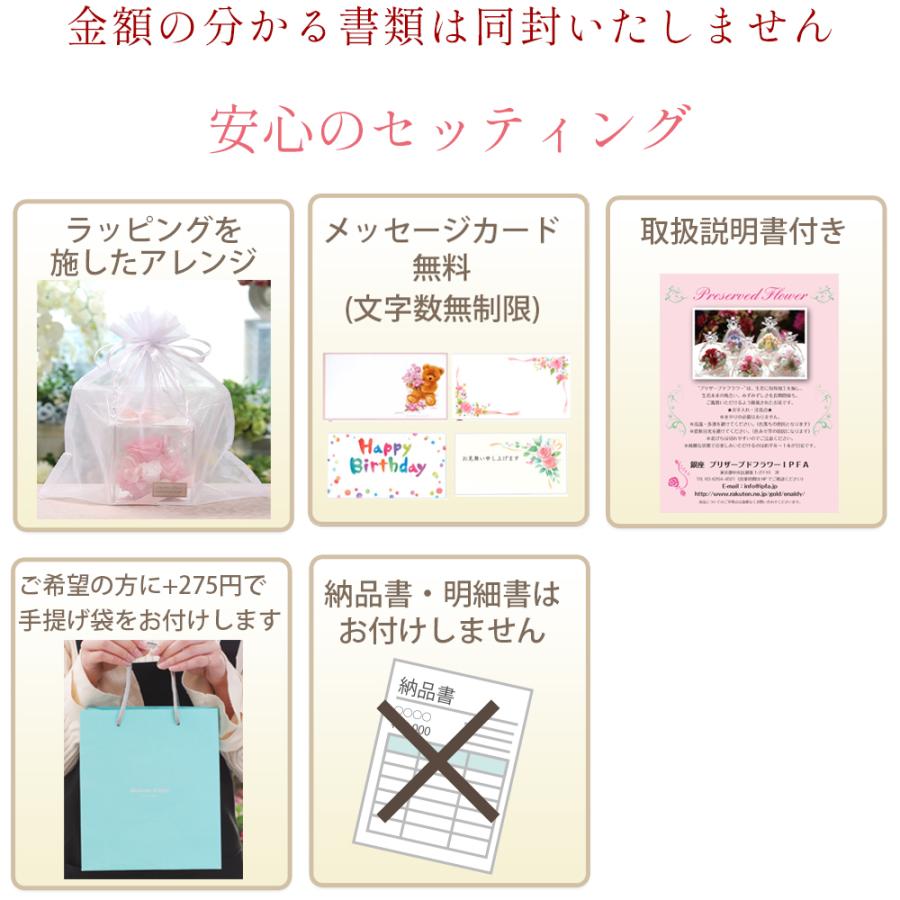 カーネーション入り プリザーブドフラワー 誕生日 退職祝い 結婚祝い プレゼント ギフト 花 お祝い ブリザード フラワー 送料無料 クリスマス | プリザーブドフラワーIPFA | 23