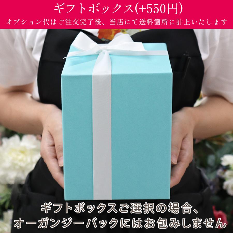 カーネーション入り プリザーブドフラワー 誕生日 退職祝い 結婚祝い プレゼント ギフト 花 お祝い ブリザード フラワー 送料無料 クリスマス | プリザーブドフラワーIPFA | 25