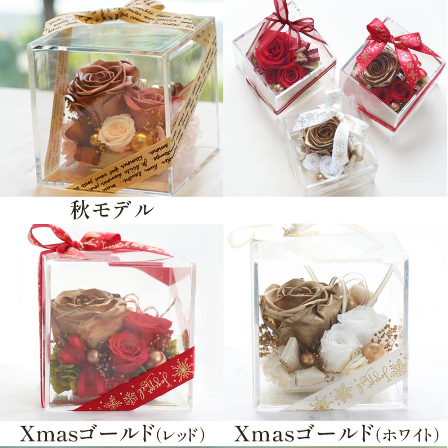 カーネーション入り プリザーブドフラワー 誕生日 退職祝い 結婚祝い プレゼント ギフト 花 お祝い ブリザード フラワー 送料無料 クリスマス | プリザーブドフラワーIPFA | 12