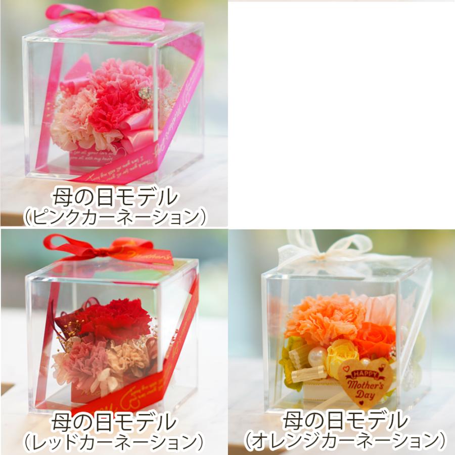 カーネーション入り プリザーブドフラワー 誕生日 退職祝い 結婚祝い プレゼント ギフト 花 お祝い ブリザード フラワー 送料無料 クリスマス | プリザーブドフラワーIPFA | 16