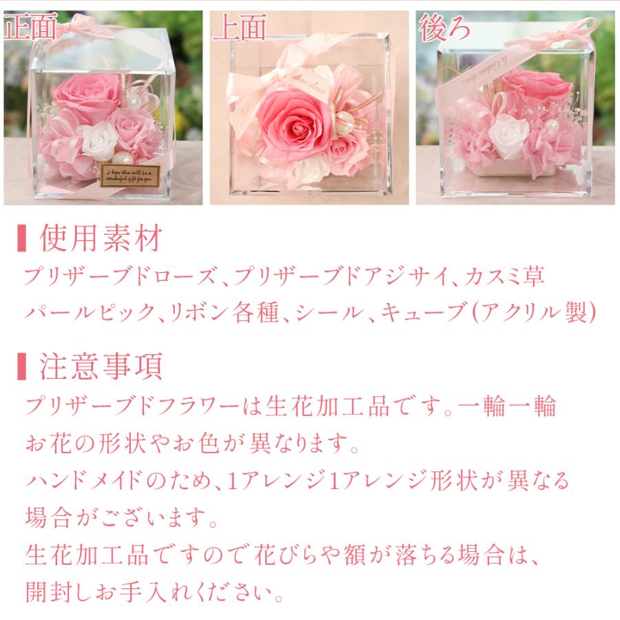 カーネーション入り プリザーブドフラワー 誕生日 退職祝い 結婚祝い プレゼント ギフト 花 お祝い ブリザード フラワー 送料無料 クリスマス | プリザーブドフラワーIPFA | 20