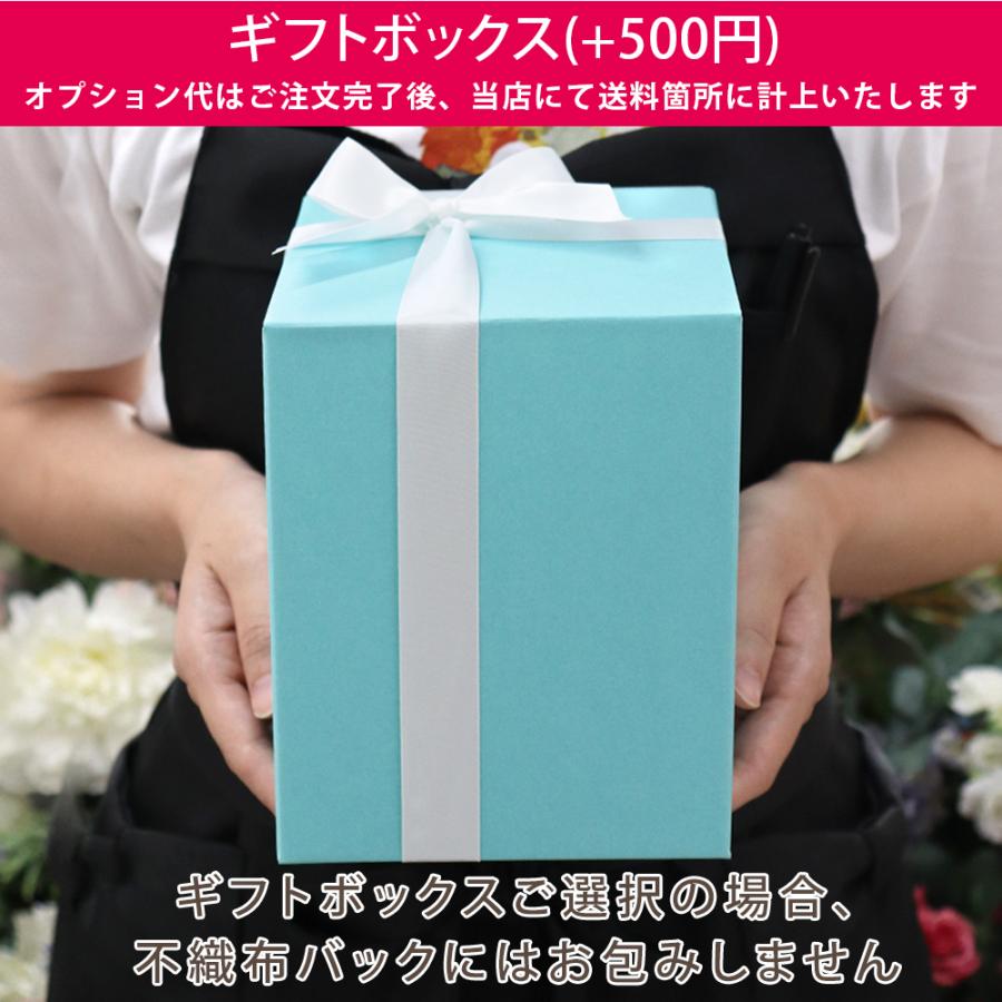 プリザーブドフラワー プレゼント 誕生日 母の日 父の日 ギフト 結婚祝い 花 お祝い 犬 ペット 仏花 お供え ガラスドーム｜ipfa｜29