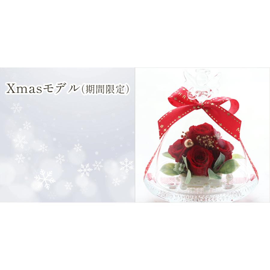 プリザーブドフラワーIPFA プリザーブドフラワー ガラスドーム