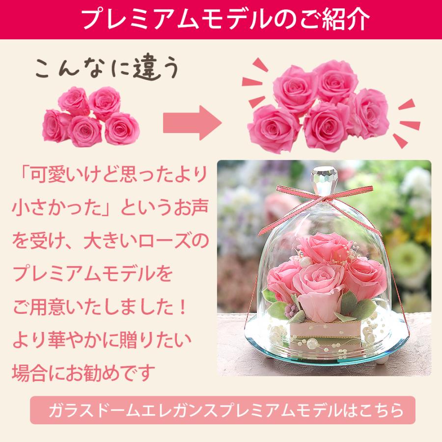プリザーブドフラワーIPFA プリザーブドフラワー ガラスドーム